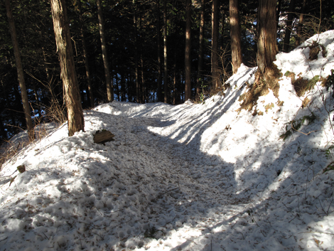 20180126hike (379)